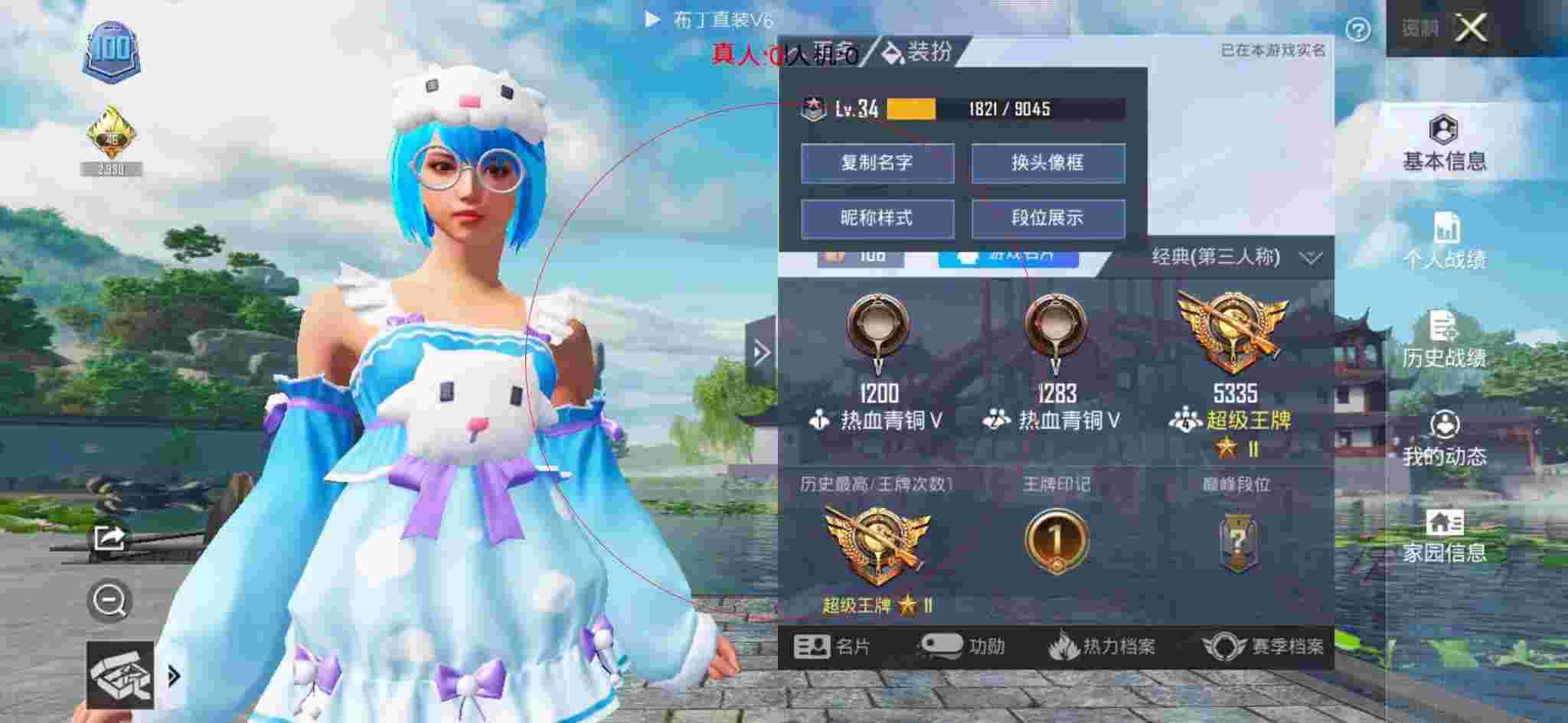 和平精英布丁直装透视 - 和平精英国际服花海科技辅助预览图